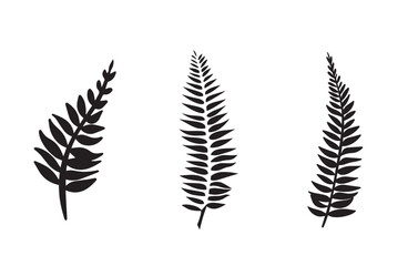 set of fern elements for decoration