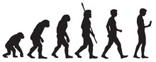 Evolution Of The Human To The Mobile. Silhouettes With The Different Steps Of Evolution Darwin. Vector Illustration