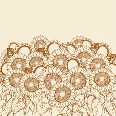 Canvas Print - Vector illustration. Sunflowers