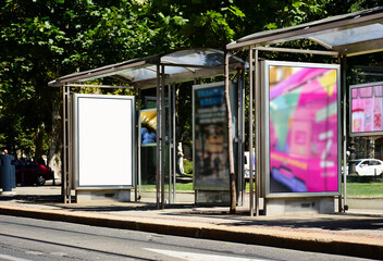 bus shelter with empty white ad panel and light box. information poster placeholder. urban setting with green park. billboard mock-up, advertising background. glass and stainless steel structure. 