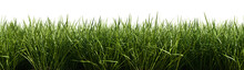 Isolated Green Grass On A Transparent Background. 3d Rendering Illustration.