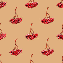 Seamless Pattern Rowan Berry Tree. Autumn Background. Hand Drawn Watercolor Colored Pencils Illustration.