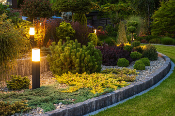 Illuminated by Modern LED Lights Backyard Garden