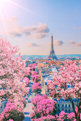 Wall Mural - paris city in the springtime
