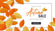 Banner template for the autumn sale. Autumn orange, red, yellow leaves. Fall template for web design, layout for promo flyers. Flat style vector illustration