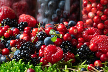 Assorted Berries Fresh Mix Colorful Arrangement In Forest.