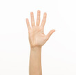 © serhii - female hand shows gestures on a white background isolated.number direction fist approval