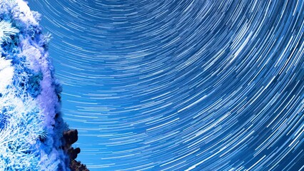 Wall Mural - Joshua Tree National Park Star Trails North Sky Vertical Shot California USA Astrophotography Time Lapse