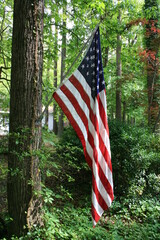 american flag in the wind