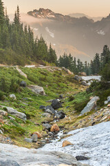 Poster - Afternoon Light Glows Over Alpine Meadow