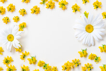 Daisy And Yellow Tiny Flowers On A White Background  With Copy Space For Text