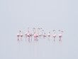 © Marcin Dobas - A serene group of flamingos standing in calm, shallow water with a soft misty background creating a minimalist scene.