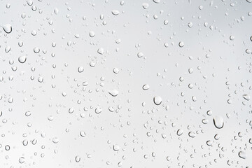 Wall Mural - Close up of rain droplet
