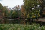 Fototapeta Na ścianę - autumn in the park