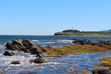 Wall Mural - Beautiful coast in Gaspé, QC, Canada