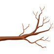 © Siam Vector - twigs tree