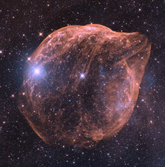 Wall Mural - the dolphin head nebula. sharpless 308. elements of this image were furnished by nasa.