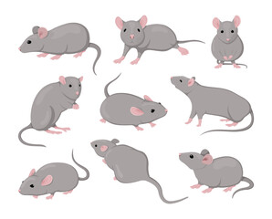 gray mouse. small animals. rodents actions. cute isolated icons set. asian zodiac creature design dr