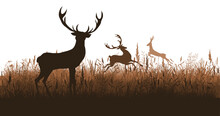 Deer Silhouette In The Meadow. Vector Illustration