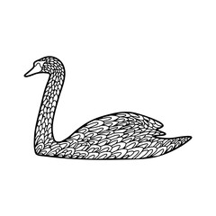 Swan coloring book page for adults. Doodle outline anti stress coloring book vector illustration.