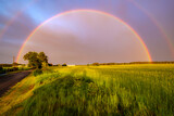 Fototapeta Tęcza - Rainbow over field