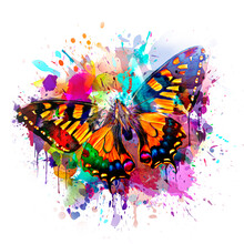 Abstract Colorful Background With Butterfly Color Art