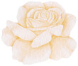White rose flower watercolor style for Decorative Element