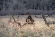 Barbed Wire On Fence