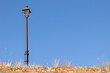 lamp post on a blue sky