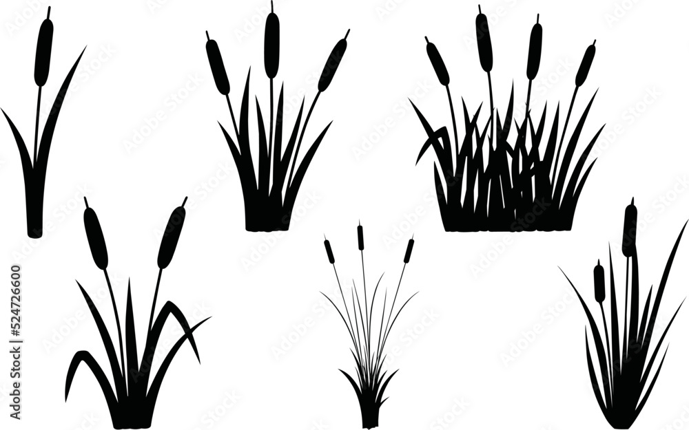Reeds Eps Vector, Silhouette, Logo, Reeds Eps Vector Cut Files for ...
