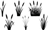Fototapeta Dinusie - Reeds Eps Vector,  Silhouette, Logo, Reeds  Eps Vector Cut Files for Cricut Design, Reeds  Digital Commercial Clipart 