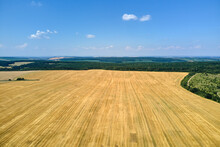 Aerial Landscape View Of Yellow Cultivated Agricultural Field With Dry Straw Of Cut Down Wheat After Harvesting