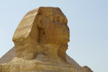 Wall Mural - The close-up view of Great Sphinx of Giza