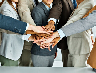 Wall Mural - young business people meeting office portrait diversity teamwork group connection success holding hands unity senior mature colleague together