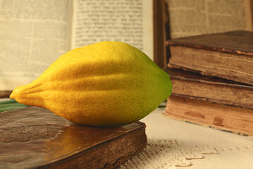 Wall Mural - Festival of Sukkot. Book of Leviticus and etrog, symbol of Torah-commanded holiday. Closeup.