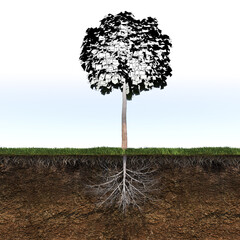 tree with strong and deep roots, 3d render