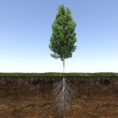 tree with strong and deep roots, 3d render