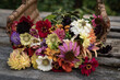 © Milou Dirks - fresh cut bouquet of colorful flowers in a basket