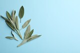 Fototapeta Kawa jest smaczna - Fresh green sage leaves on turquoise background, flat lay. Space for text