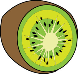 Wall Mural - Kiwi Vector illustration. kiwi image or clip art.