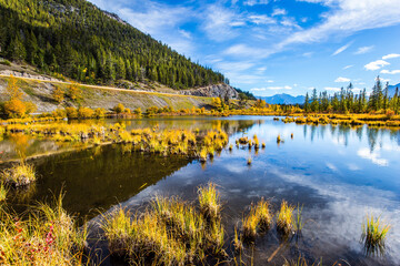 Wall Mural - Indian summer in Rockies