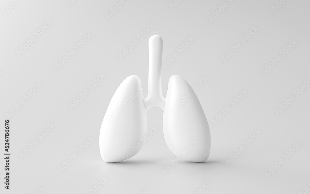 Human lung isolated on white health anatomy chest body section 3d ...