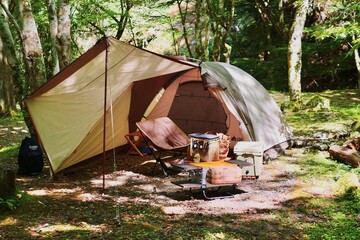 Wall Mural - camping in the forest
