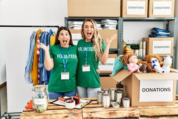 Sticker - Two young women wearing volunteer t shirt at donations stand celebrating victory with happy smile and winner expression with raised hands