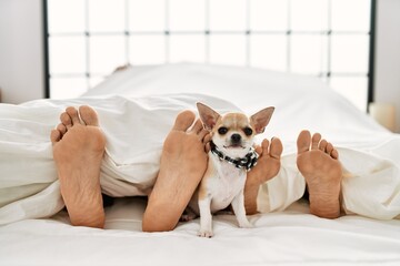 Sticker - Couple feet and dog on bed.