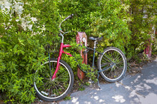A Red Bicycle In Front Of A Bush