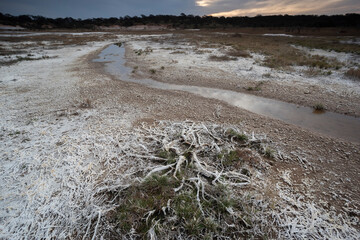 Saltpeter on the floor of a lagoon in a semi desert environment, La Pampa province, Patagonia, Argentina.