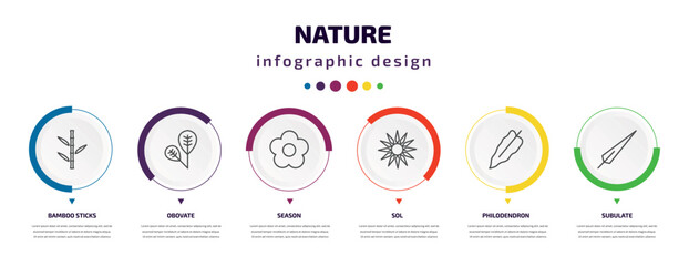 nature infographic element with icons and 6 step or option. nature icons such as bamboo sticks, obovate, season, sol, philodendron, subulate vector. can be used for banner, info graph, web,