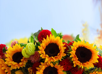 Wall Mural - Dahlia and sunflowers