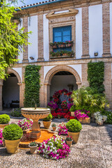 Wall Mural - Cordoba Viana Palace built in XV century. Viana Palace is tourist attraction known for 12 magnificent patios and a garden: Courtyard of the gate (Patio de la Cancela). CORDOBA, SPAIN. 